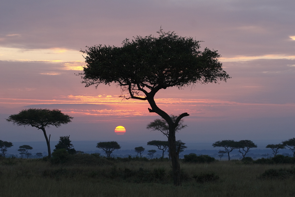 Landscape of Botswana at sunrise.